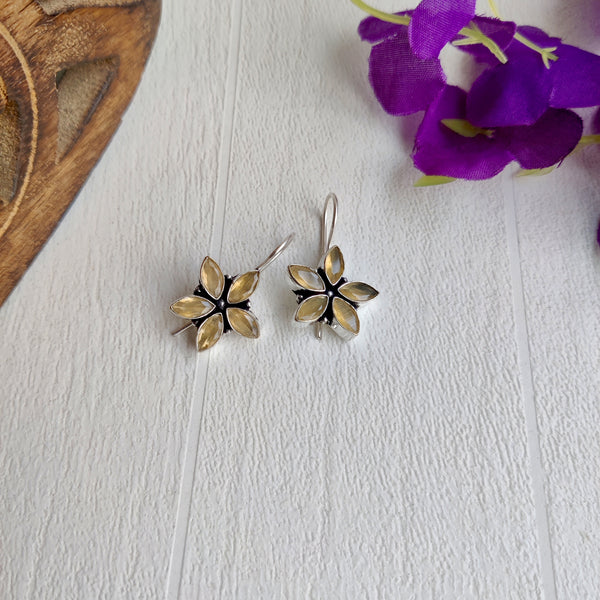 "Faloni" premium stone Hook Earrings