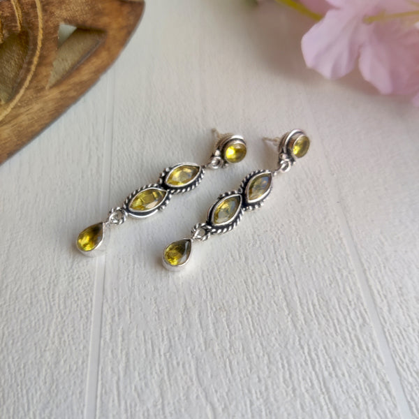 "Dhanika" Minimalist  Zircon Stone Long Dangle Earrings