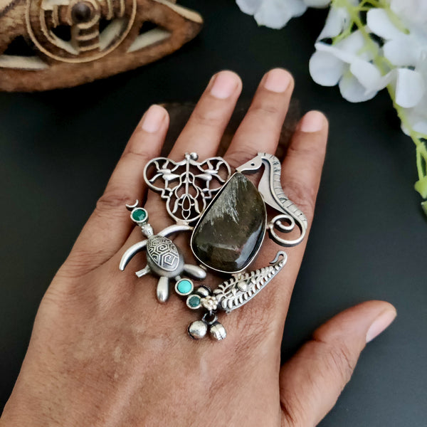 Adjustable Fusion Ring Model - 79